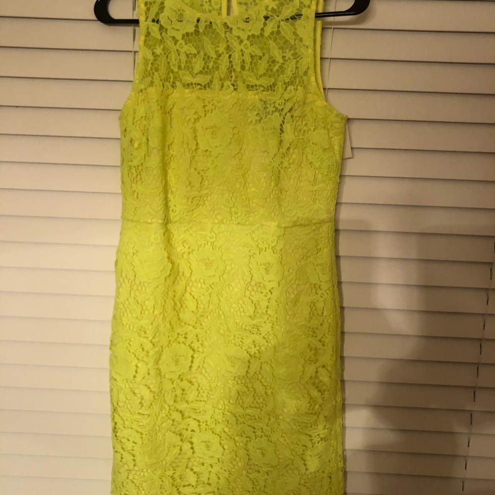 Lace pencil dress NWT